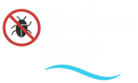 dedera.ro